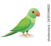 Alexandrine parakeet Bird flat vector illustration