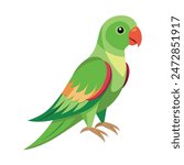 Alexandrine parakeet Bird illustration on white