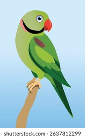 Alexandrine parakeet perched on a branch with a blue background