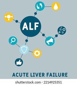 ALF - Acute Liver Failure acronym. business concept background.  vector illustration concept with keywords and icons. lettering illustration with icons for web banner, flyer, landing page