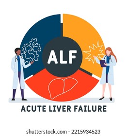 ALF - Acute Liver Failure acronym. business concept background.  vector illustration concept with keywords and icons. lettering illustration with icons for web banner, flyer, landing page