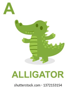  alfabet alligator vector,animals illustration.vector cartoon for kids