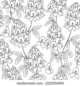 Alfalfa flower seamless pattern background graphic black white sketch illustration vector