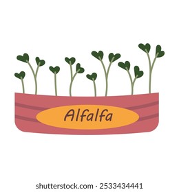 Alfafa microgreens em uma caixa de madeira com o texto alfafa. Ecoproduto útil. Design plano. Mudas verdes saudáveis para saladas e nutrição adequada. Ilustração vetorial isolada em um fundo branco