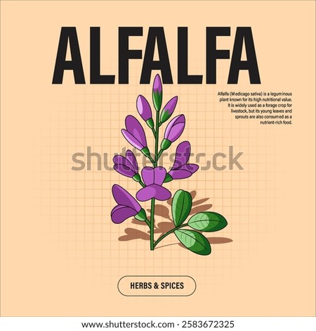 Alfalfa Premium Vector Clipart High-Quality Illustration for Cooking Branding and Packaging