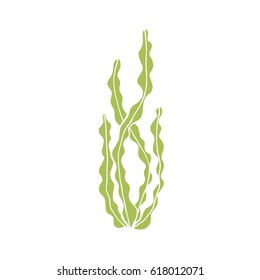 Alga adumbration isolated