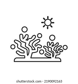 Alga, algae, fungus line icon. Outline vector.