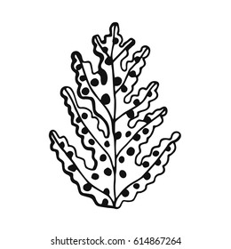 an Alga drawing