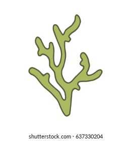 Alga green Alga green