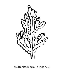 An Alga hand-drawing