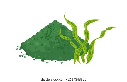 Alga and heap of green powder isolated on white background. Spirulina or chlorella supplement. Vector cartoon flat illustration.
