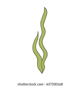 Alga marine green vector