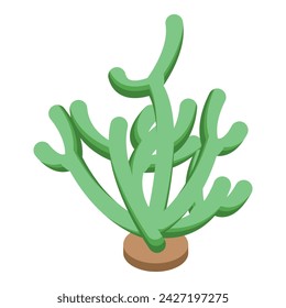 Alga plant icon isometric vector. Sea algae. Marine seaweed