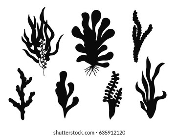 Alga silhouette