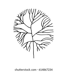 An Alga sketch vector