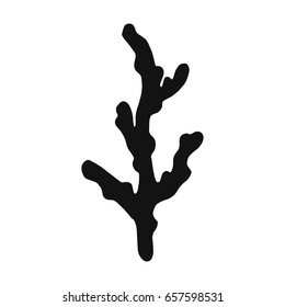 Algae