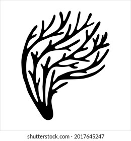 Algae beautiful black branch of logo, algae icon aquatic Riccia on a white background. Algae logo, algae icon vector