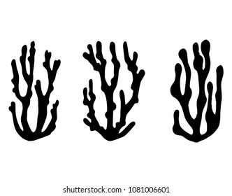algae black silhouette vectors isolated