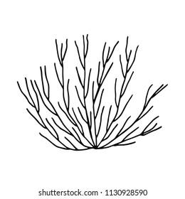 algae bush hand drawing vector isolated. marine plants.