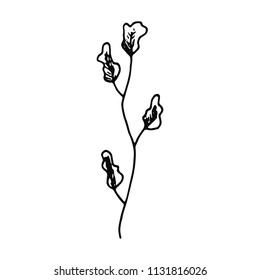 algae bush isolated. vector marine plants.