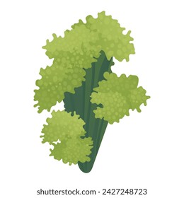 Algae of colorful set. The artwork combines detailed illustration with a whimsical cartoon design, presenting green seaweed in a nature-inspired style. Vector illustration.