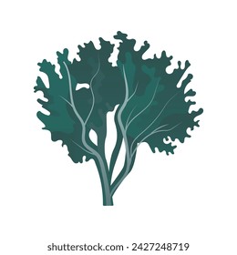 Algae of colorful set. This illustration combines meticulous design and artistic flair to depict seaweed in a charming cartoon style against a pristine white background. Vector illustration.