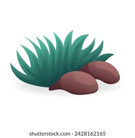 Algae of colorful set. This image combines playful cartoon design with the natural beauty of green seaweed, creating a visually appealing contrast against the white background. Vector illustration.