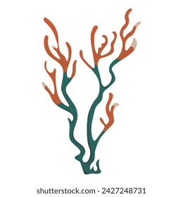 Algae of colorful set. Through a blend of illustration and design, this piece offers a colorful depiction of seaweed in a whimsical cartoon style. Vector illustration.