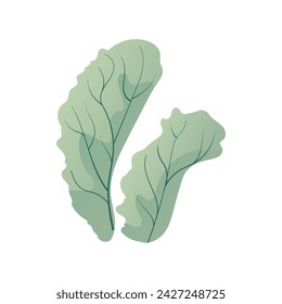 Algae of colorful set. Through meticulous illustration and creative design, this piece captures the essence of nature with its depiction of green seaweed. Vector illustration.