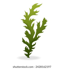 Algae of colorful set. Through skillful illustration and creative design, this artwork portrays lively green seaweed in a charming cartoon style against a white backdrop. Vector illustration.