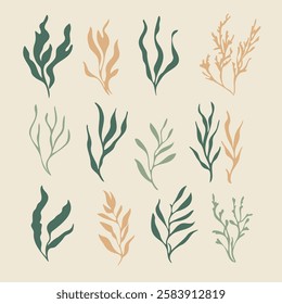 Algae, Coral, and Moss Set Illustration, Earth Tones, Marine-Inspired Design