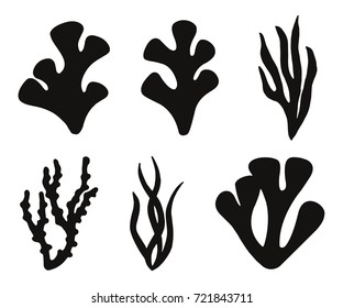 algae and coral silhouettes isolated vector icons