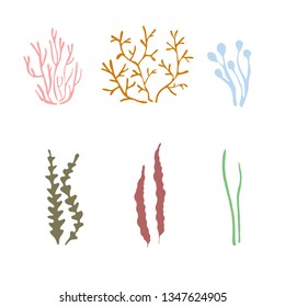 Algae and coral sketch. Art design element stock vector illustration for web, for print