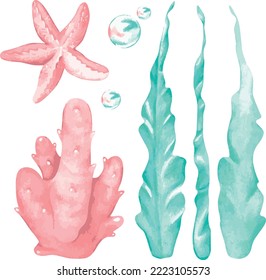 Algae, coral and starfish set. Watercolor illustration.