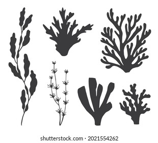 algae and corals set of isolated vectors