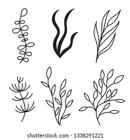 algae and corals set of silhouettes