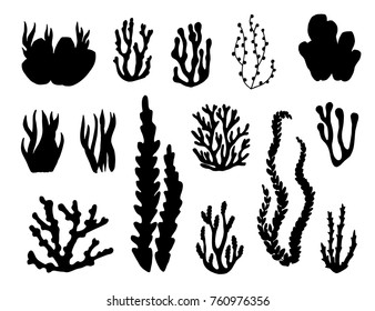 algae and corals set of vector silhouettes