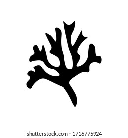
Algae in doodle style isolated on white background. Signature Icon. Vector outline illustration. Black spots. Can be used as icon or symbol. Decor element. Hand drawn black sketch.