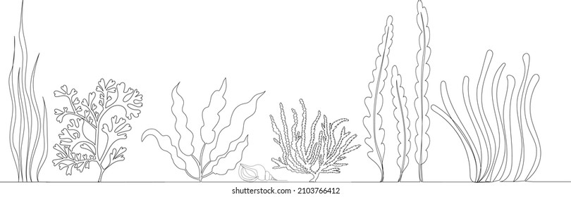 algae drawing by one continuous line, isolated, vector