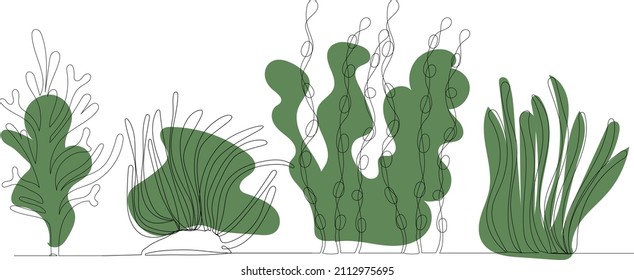 algae drawing in one continuous line, vector, isolated