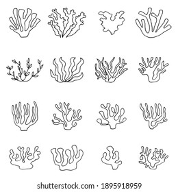 algae edible vector sketch set