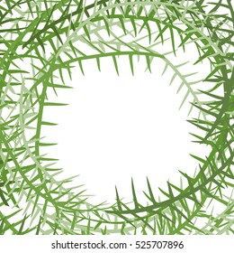 Algae frame. Leading grass background. place for text.

