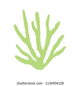 algae green isolated silhouette. marine plant