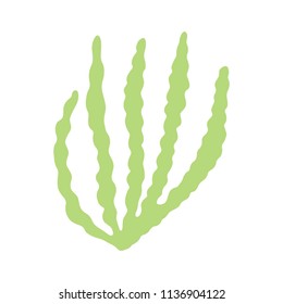 algae green isolated silhouette. vector sea plant. on a white background