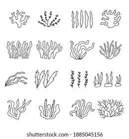 algae green linear drawing icons set