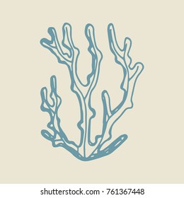 algae hand drawing vector. sketch