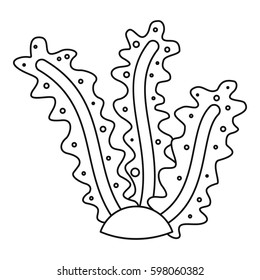 Algae icon. Outline illustration of algae vector icon for web