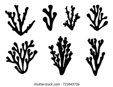 Algae Icon Set Vector