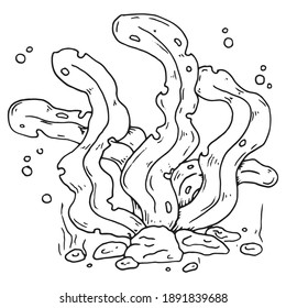 Algae icon. Vector seaweed. Hand drawn.