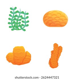 Ícones de algas definem o vetor de desenhos animados. Algas marinhas coloridas e corais. Mundo submarino, vida selvagem